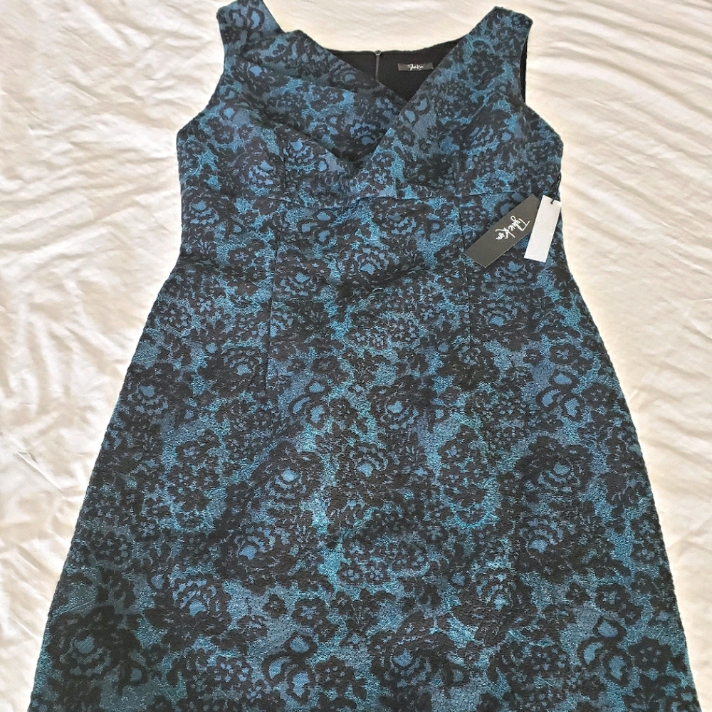 Tyler Kim Sleeveless Dress